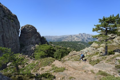 France, Corse du Sud, Alta Rocca, hiking in the massif of Bavella at the Punta Velacu