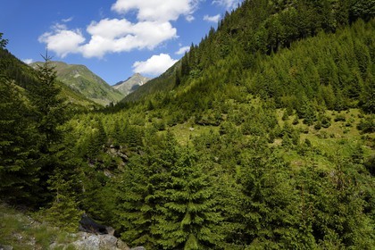 Roumanie, Valachie, Muntenie, Comté de Arges, les monts Fagaras le long de la Route Transfagarasan dans les Carpates du Sud