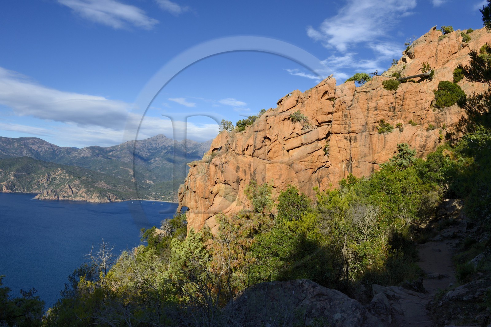 France, Corse du Sud, Golfe de Porto, listed as World Heritage by UNESCO,  the Creeks of Piana (Calanches de Piana) with pink granite rocks and the Bussaglia beach in the background