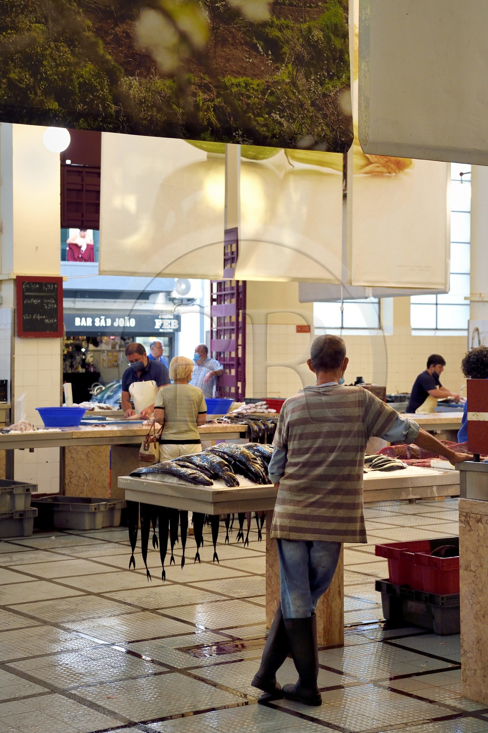 Portugal, Ile de Madère, Funchal, le marché couvert Mercado dos Lavradores, hall des poissons