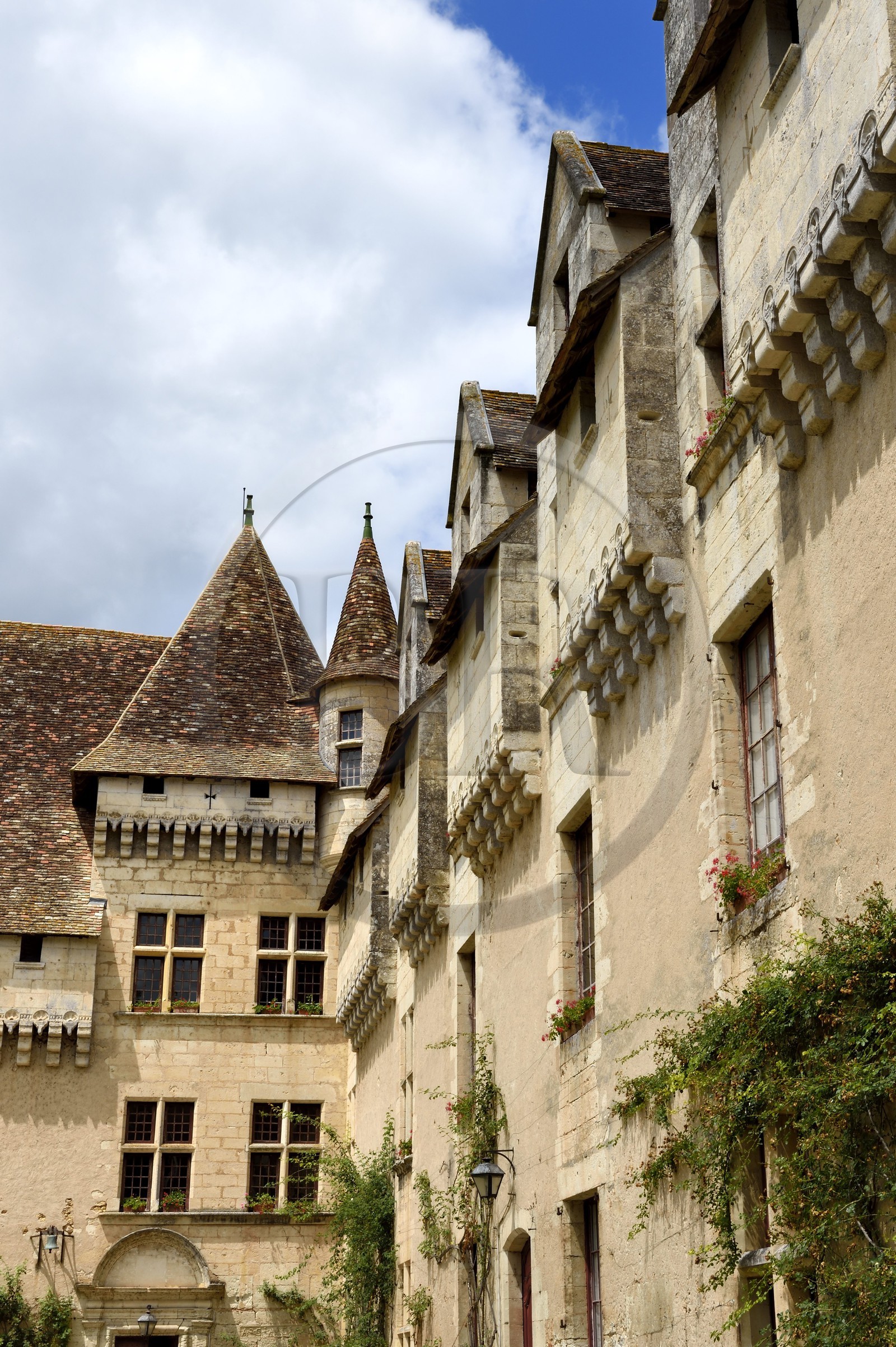 France, Dordogne (24), Périgord Blanc, Neuvic, chateau de Neuvic en bordure de la rivière L'Isle que longe la Véloroute Voie verte