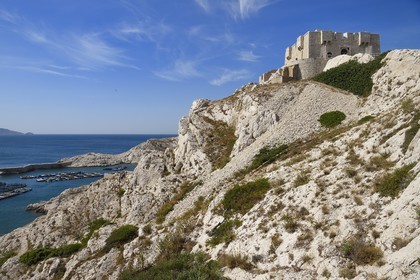 France, Bouches du Rhone, Marseille, Calanques National Park, archipelago of Frioul islands, Pomegues island, the Pomeguet tower built in 1860