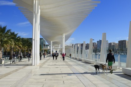 Spain, Andalusia, Malaga, the waterfront on the port, Palmeral de las Sorpresas