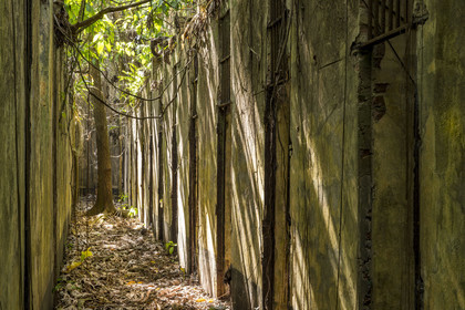 France, French Guiana, Kourou, Salvation Islands (Iles du Salut), Saint Joseph Island, ruin of the penal colony dedicated to the seclusion of the most difficult prisoners