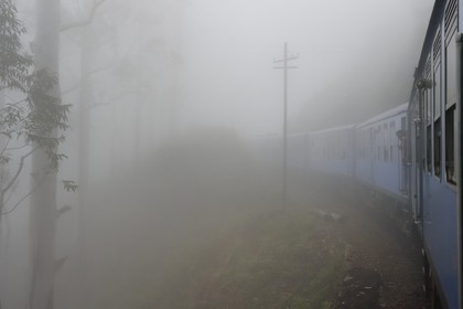 Sri Lanka, Uva Province, the popular scenic train ride through the tea growing hill country between Hatton and Badulla, next to the Horton Plains National Park cloud forest