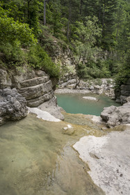 France, Drome, regional natural park of Baronnies provencales, the Aulan gorges alongside the Toulourenc river