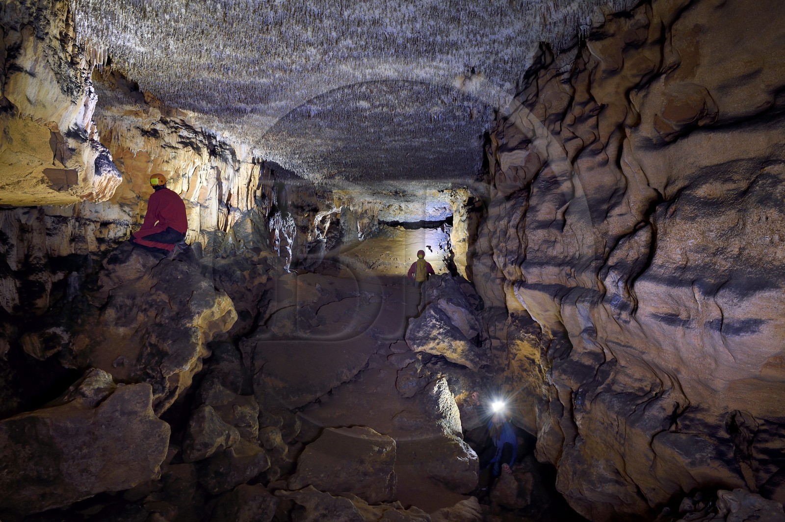 France, Dordogne (24), Périgord Noir, vallée de la Dordogne, Groléjac, initiation à la spéléologie avec Laurent Lignac de Couleur Périgord dans la grotte du Pechialet