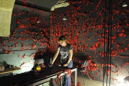 Portugal, région du Minho, Guimaraes, ancien couvent des dominicains,  squat d'artistes officiel et un des lieux d'exposition de Guimaraes 2012