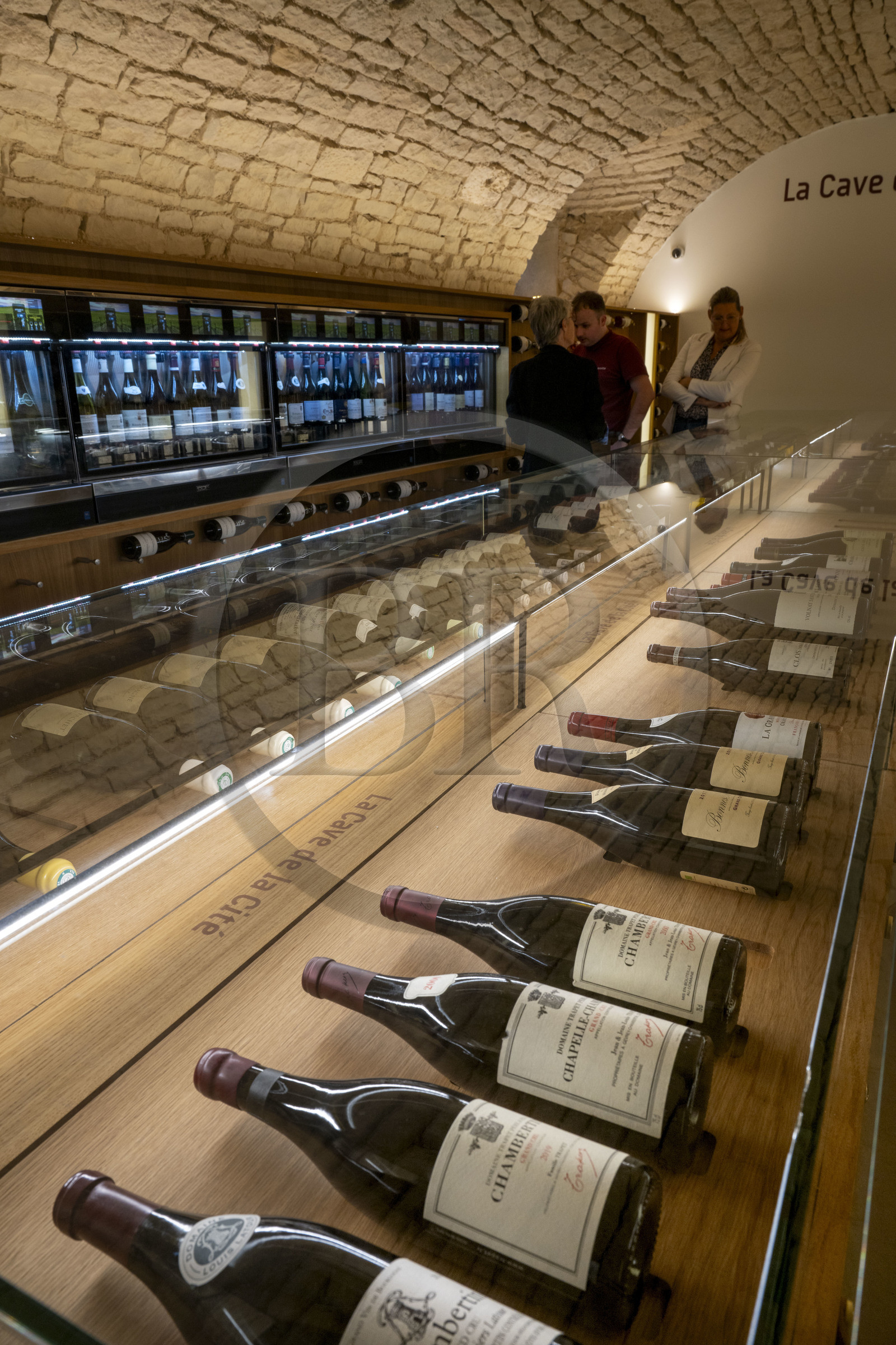 France, Côte-d'Or (21), Dijon, zone classée Patrimoine Mondial de l'UNESCO, Cité Internationale de la Gastronomie et du Vin par l'architecte Anthony Béchu, l'oenothèque La Cave de la Cité propose autour de 3 000 références de vins, la cave des grands crus