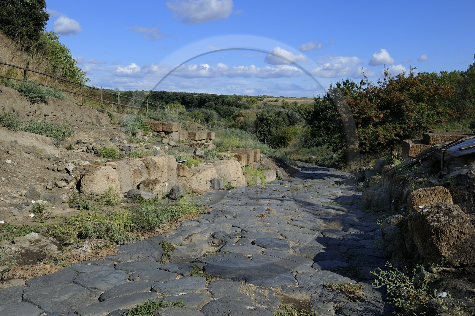 Italie, Latium, province de Viterbe, Montalto di Castro, antique cité étrusque de Vulci, vestige des rues pavées Italie, Latium, province de Viterbe, Montalto di Castro, antique cité étrusque de Vulci, vestige des rues pavées