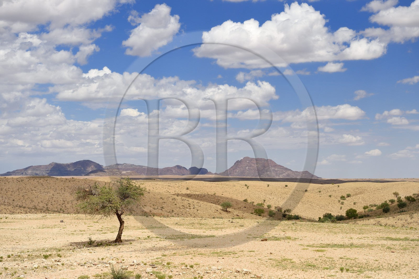 Namibie, région de Khomas, désert du Namib en bordure du Gamsberg Nature Reserve à l'ouest et du parc national Namib Naukluft à l'Est