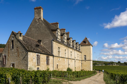 France, Cote d'Or, cultural Landscape of the climates of Burgundy listed as World Heritage by UNESCO, Route des Grands Crus (road of Vintage Wines), vineyard of the Côte de Nuits, Vougeot, the Chateau of Clos de Vougeot