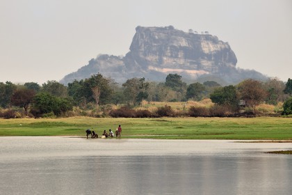 Sri Lanka, Central Province, Matale District, Sigiriya, Old city of Sigiriya listed as World Heritage by UNESCO, Rock of the Lion