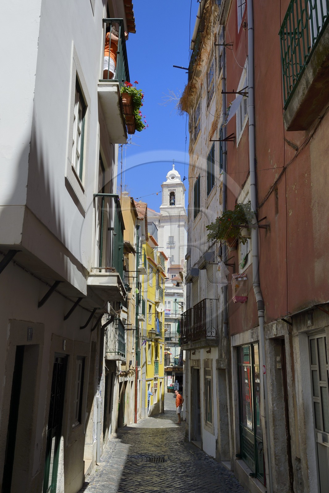 Portugal, Lisbonne, quartier de l'Alfama, rua Sao Miguel
