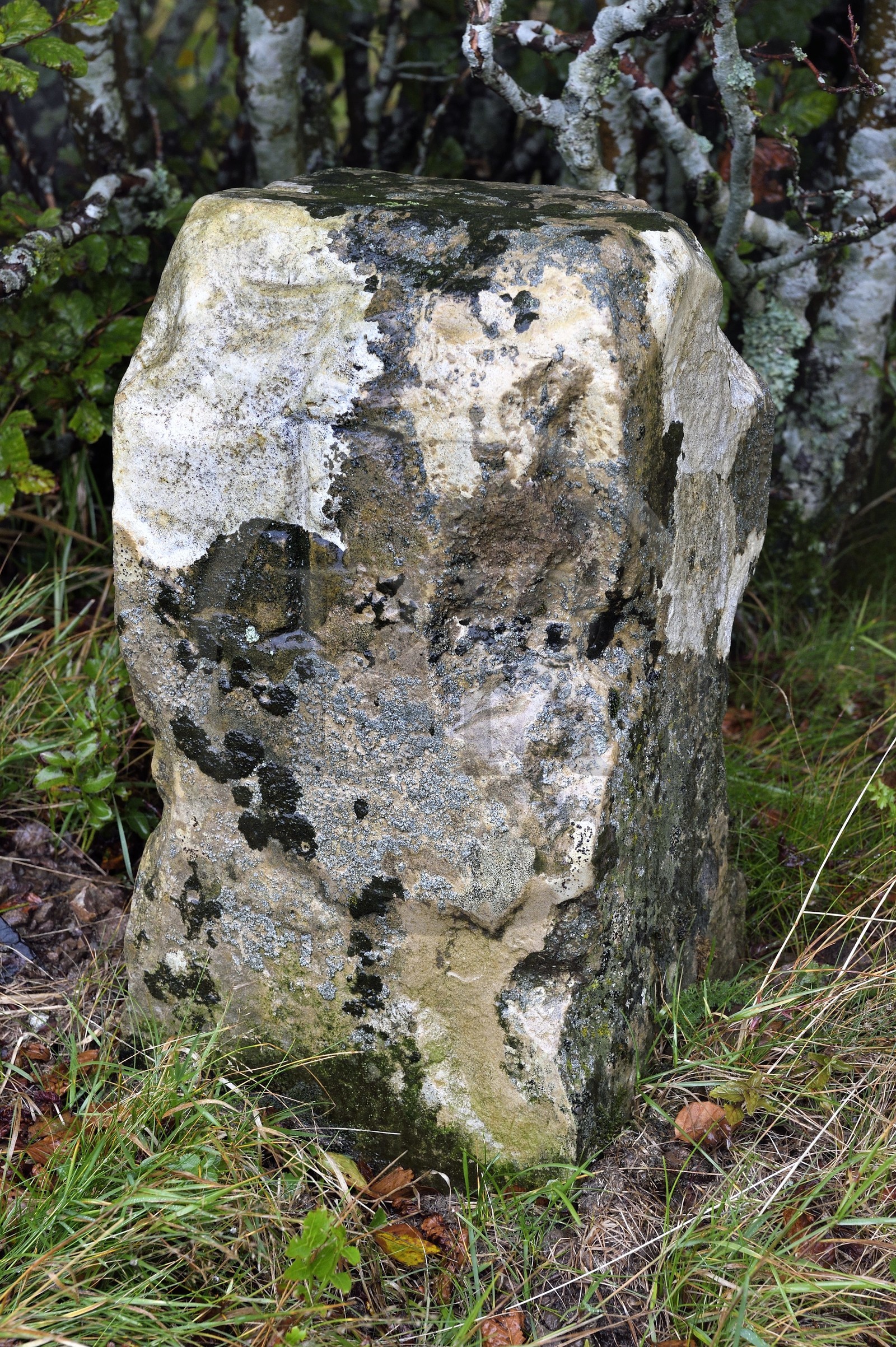 France, Vosges (88), Parc naturel régional des ballons des Vosges, Saint-Maurice-sur-Moselle, chaume de Gazon Rouge, ancienne borne frontière franco-allemande dont on peut voir le F
