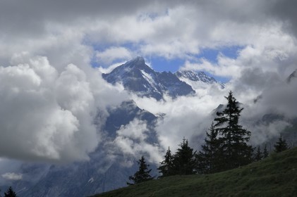 Switzerland, Canton of Bern, Bernese Oberland, Grindelwald, Wetterhorn mountain (3701 m)