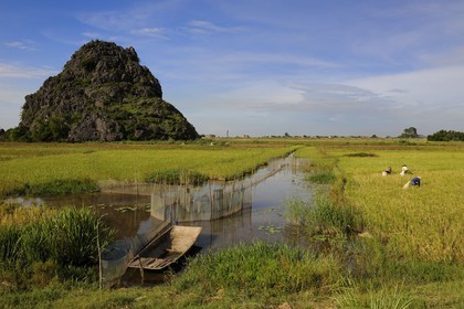 Vietnam, Ninh Binh province, work in the ricefields and fishing nets in the irrigation channel