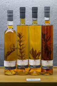 France, Aveyron, Nant, the Homs aromatic farm of Marion Renoud-Lias and Romain Debord, new generation farmers from Larzac, cider vinegar with plants is one of the products of the farm