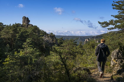 France, Aveyron, Causses and the Cevennes, cultural landscape of Mediterranean agro-pastoralism, listed as World heritage by UNESCO, Causse Noir, La Roque Sainte Marguerite, chaos of Montpellier-le-Vieux, the Cité de Pierres (City of Stones), the rock called Tête d'Ours