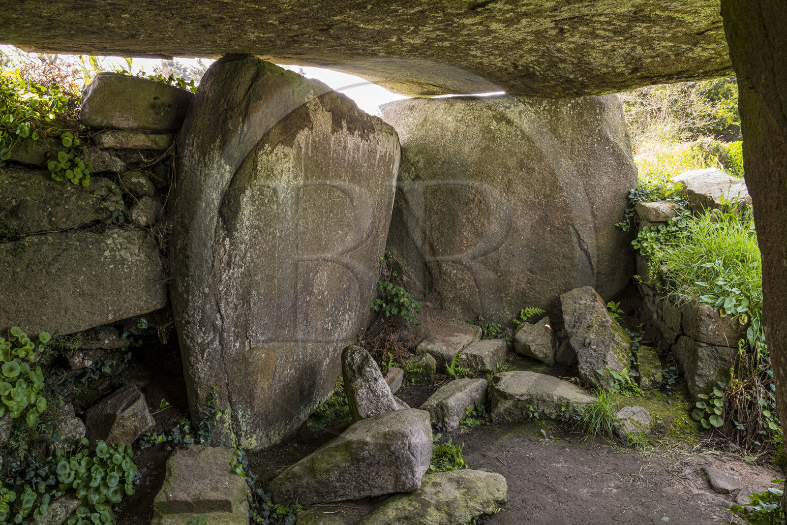 France, Côtes-d'Armor (22), Côte de Granit Rose, Trégastel, dolmen Kerguntuil vestige du néolithique final