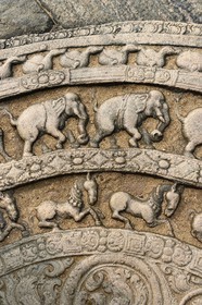 Sri Lanka, province du Centre-Nord, Polonnaruwa, l'ancienne capital du pays (XIe au XIIIe siècle) est classée au Patrimoine Mondial de l'UNESCO, terrasse de la relique de la dent, pierre de lune en demi-cercle (sandakada pahana)