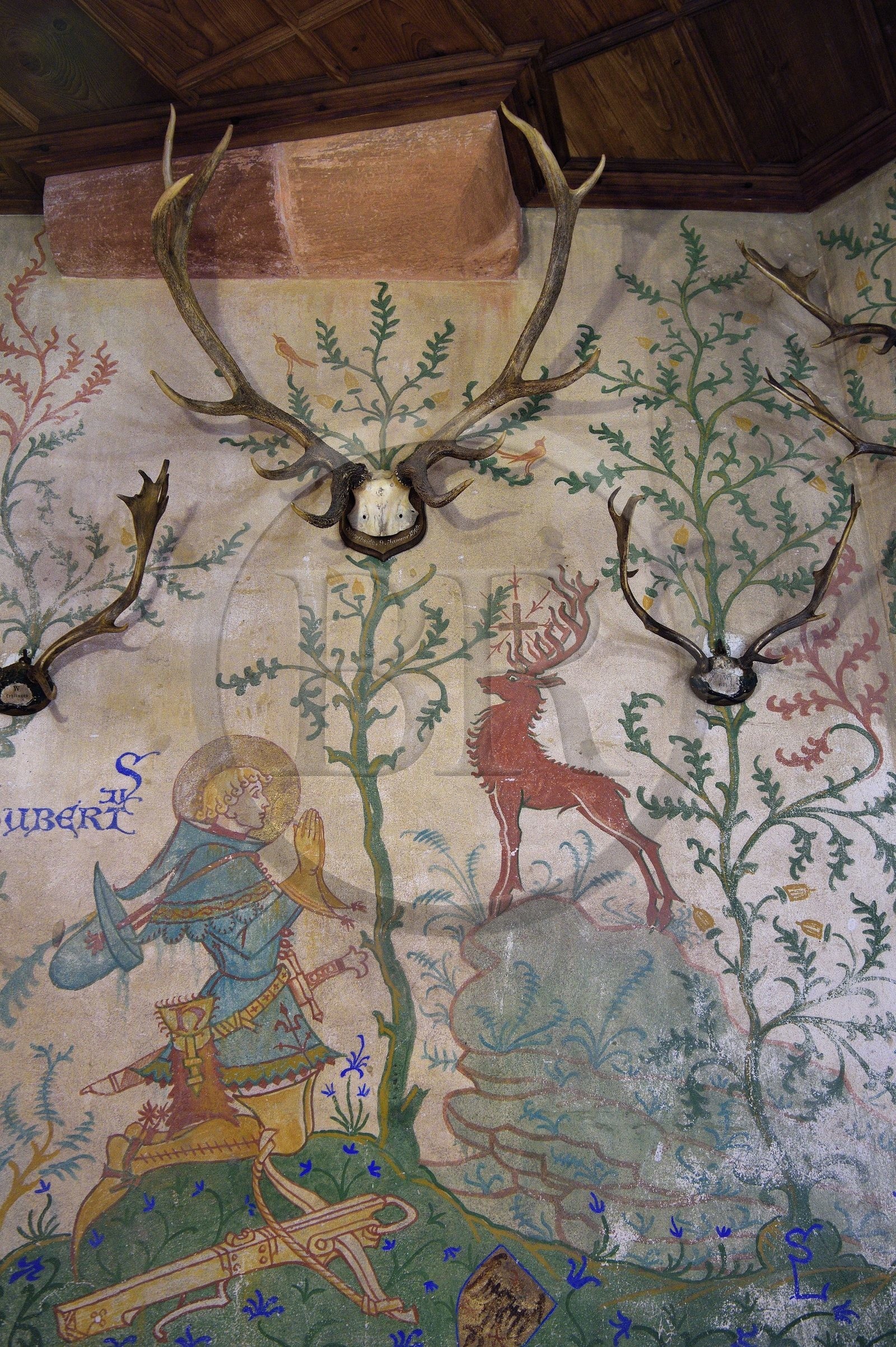 France, Bas-Rhin (67), Orschwiller, le chateau du Haut-Koenigsbourg, la salle des trophées de chasse