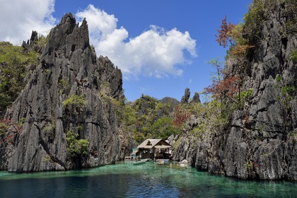 Philippines, Calamian Islands dans le nord de Palawan, Coron Island Natural Biotic Area, lagon et falaises de calcaire du Permien d'origine jurassique