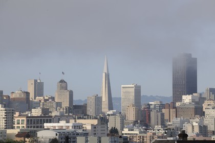 Etats-Unis, Californie, San Francisco, la Transamerica Pyramid émergeant du financial district