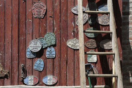 France, Saône et Loire (71), Cluny, l'élevage de Merzé, martinot.fr