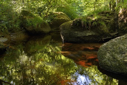 France, Finistere, Parc Naturel Regional d'Armorique (Armorique Natural Regional Park), Huelgoat, granitic chaos of the Huelgoat forest, the forest reflected in the water of the Argent River, which sometimes may become blood red
