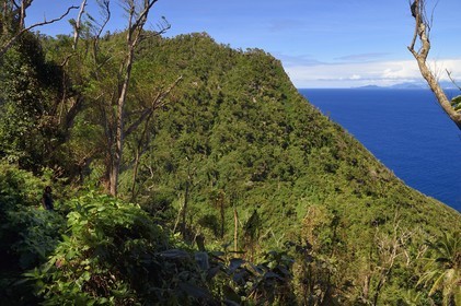 Caraïbes, Ile de la Dominique, randonneur sur le segment 13 du Waitukubuli National Trail dans le nord de l'île entre Pennville et Capuchin, les Saintes en Guadeloupe en arrière plan