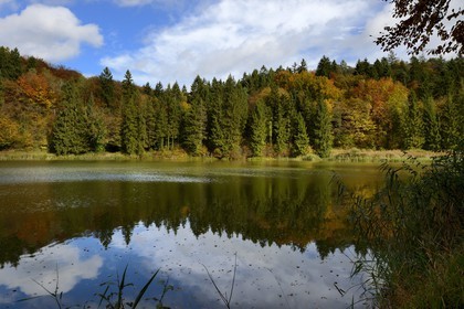 France, Meuse, Lorraine Regional Park, Cotes de Meuse, Dommartin-la-Montagne, the Longeau ponds