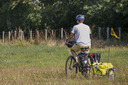 France, Maine-et-Loire, Loire valley listed as World Heritage by UNESCO, Saumur towards Saint-Hilaire, cycling on the banks of the Loire, bike with a trailer carrying camping equipment