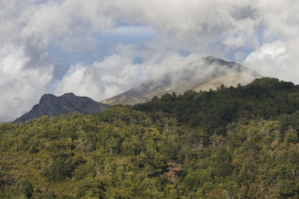 France, Corse du Sud, Prunelli river valley, Bastelica