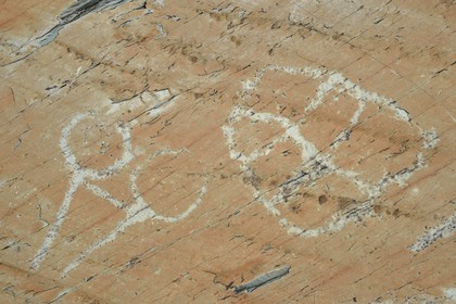 France, Alpes-Maritimes, parc national du Mercantour (Mercantour National Park), the Vallee des Merveilles (Valley of Wonders) scattered with thousands of rupestral engravings of the Bronze Age, schist flagstone called the Rock of the Altar engraved with hornlike figures probably representing an ox yoke on the left and a checkerboard-like figure that could symbolize cultivated fields on the right