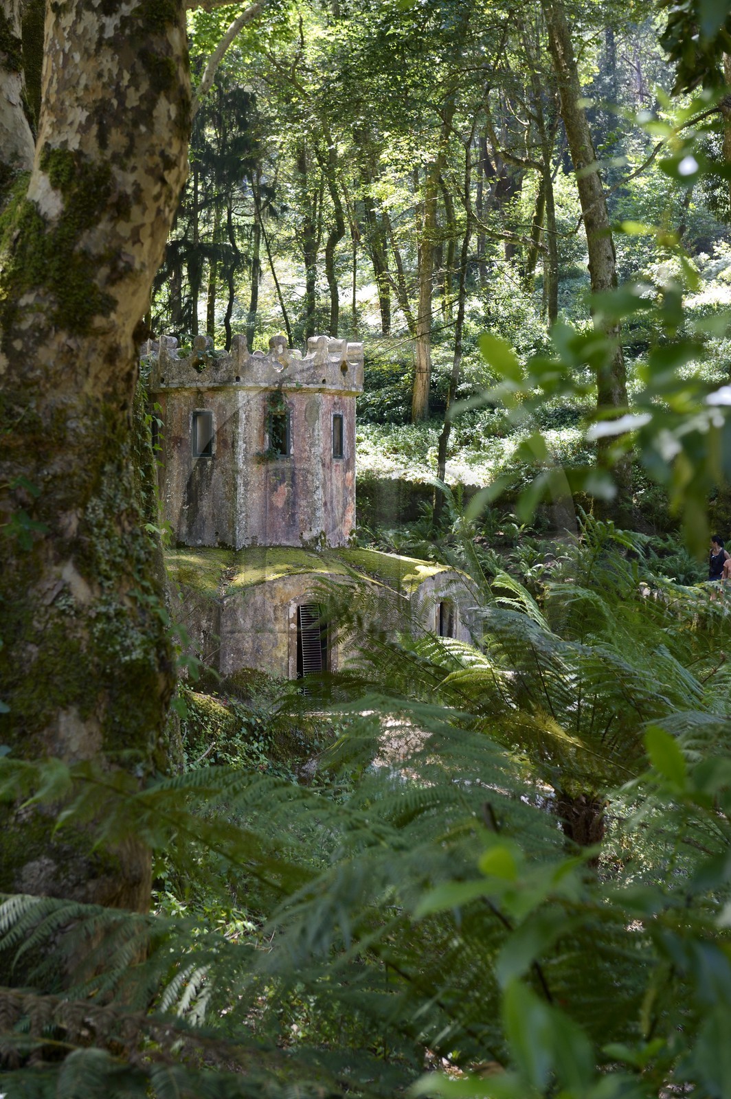 Portugal, région de Lisbonne, Sintra, classée Patrimoine Mondial de l'UNESCO, parc du Palais national de Pena (Palacio Nacional da Pena)