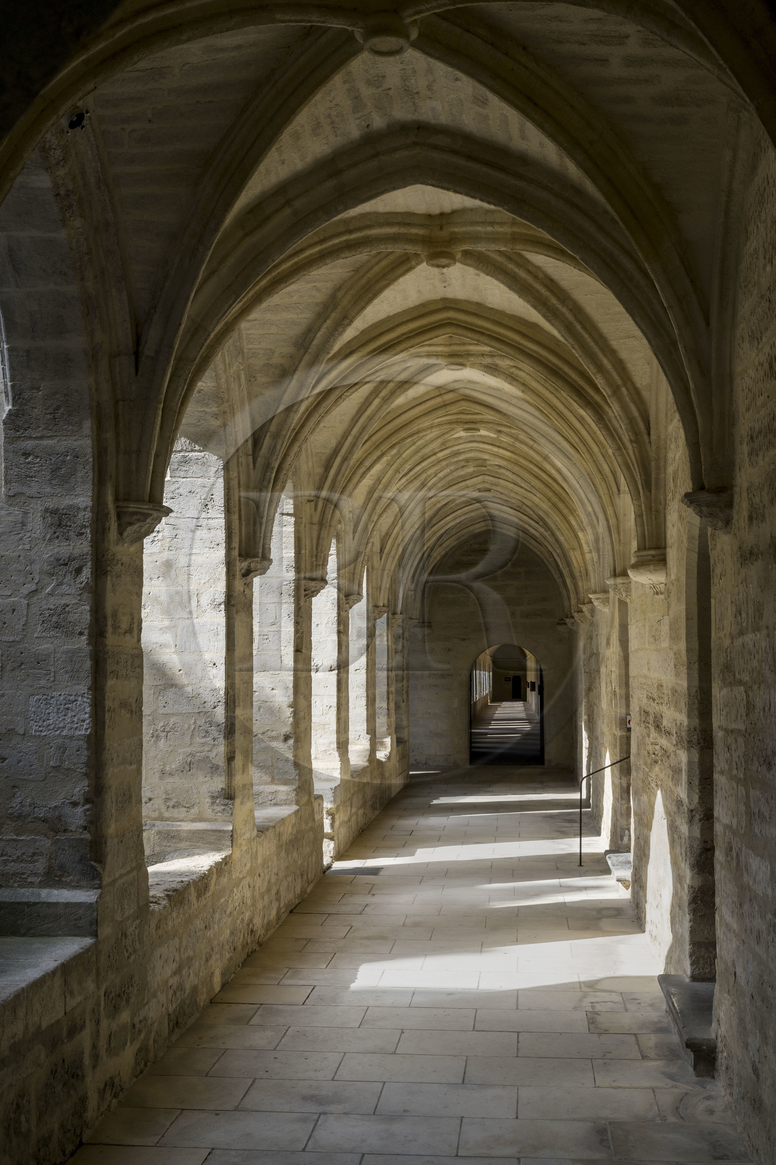 France (30), Gard, Villeneuve-lès-Avignon, la Chartreuse Notre-Dame-du-Val-de-Bénédiction, le grand cloitre ou cloitre des morts