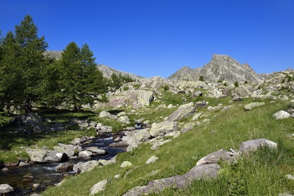 France, Alpes-Maritimes, parc national du Mercantour (Mercantour National Park), the Vallee des Merveilles (Valley of Wonders) scattered with thousands of rupestral engravings of the Bronze Age, the pastures below the Long Lake and the Cime des Lacs (2510m) mountain in the background