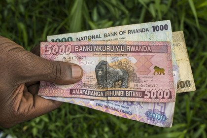 Rwanda, billets de banque de franc rwandais, la devise officielle, le gorille dos d'argent ou silverback est représenté sur le billet de 5000 francs