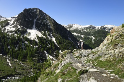 France, Alpes-Maritimes, parc national du Mercantour ( Mercantour national park), Haute-Vesubie, trek in the Madone de Fenestre valley