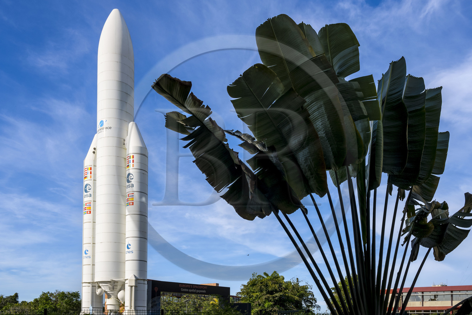 France, Guyane, Kourou, Centre Spatial Guyanais (CSG), réplique grandeur nature de la fusée Ariane V et arbre du voyageur (Ravenala madagascariensis)