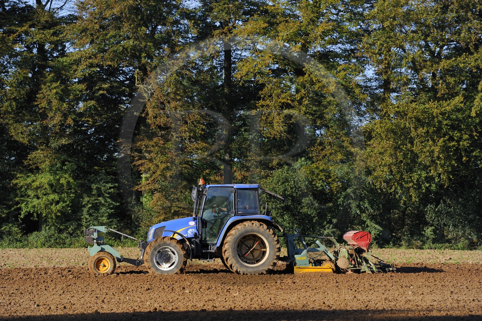 France, Seine-Maritime (76), Varengeville-sur-Mer, labour d'un champ en lisière de forêt