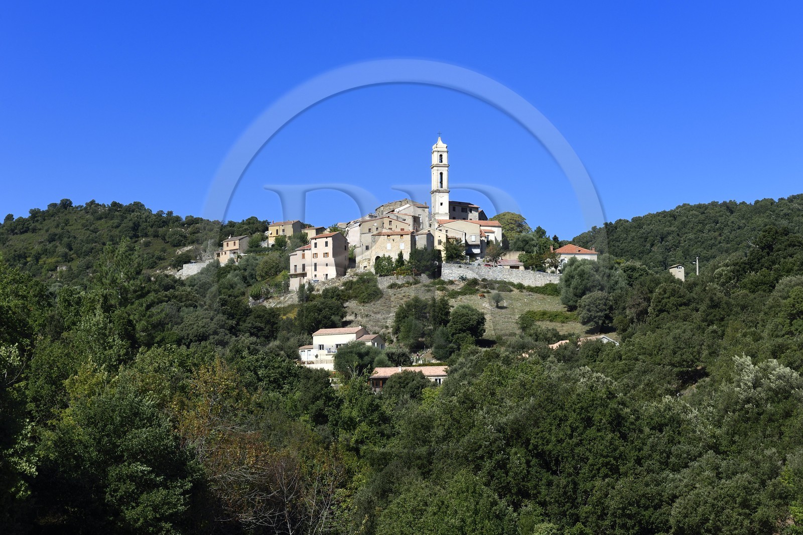 France, Haute-Corse (2B), village perché de Soveria
