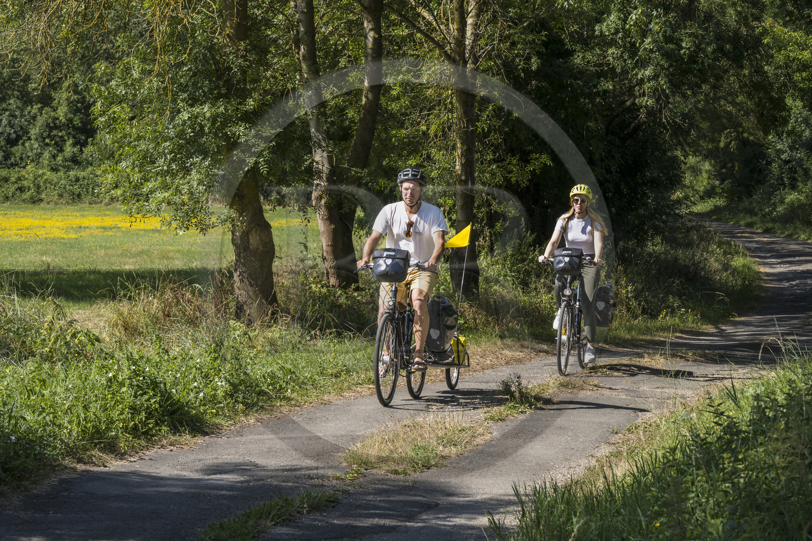 France, Maine-et-Loire (49), vallée de la Loire classée au Patrimoine Mondial par l'UNESCO, Saumur vers Saint-Hilaire, randonnée à bicyclette le long des berges de la Loire sur la piste cyclable La Loire à Vélo, vélo avec une remorque transportant le matériel de camping France, Maine-et-Loire (49), vallée de la Loire classée au Patrimoine Mondial par l'UNESCO, Saumur vers Saint-Hilaire, randonnée à bicyclette le long des berges de la Loire sur la piste cyclable La Loire à Vélo, vélo avec une remorque transportant le matériel de camping