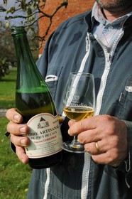 France, Seine-Maritime, Bretteville-du-Grand-Caux, Clos masure, a typical farm of Normandy that houses the Ecomuseum of the Apple and Cider in the farm