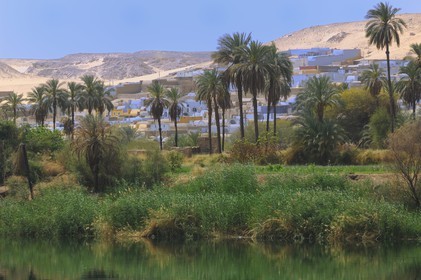 Egypte, Haute Egypte, vallée du Nil, le Nil entre Kom Ombo et Assouan