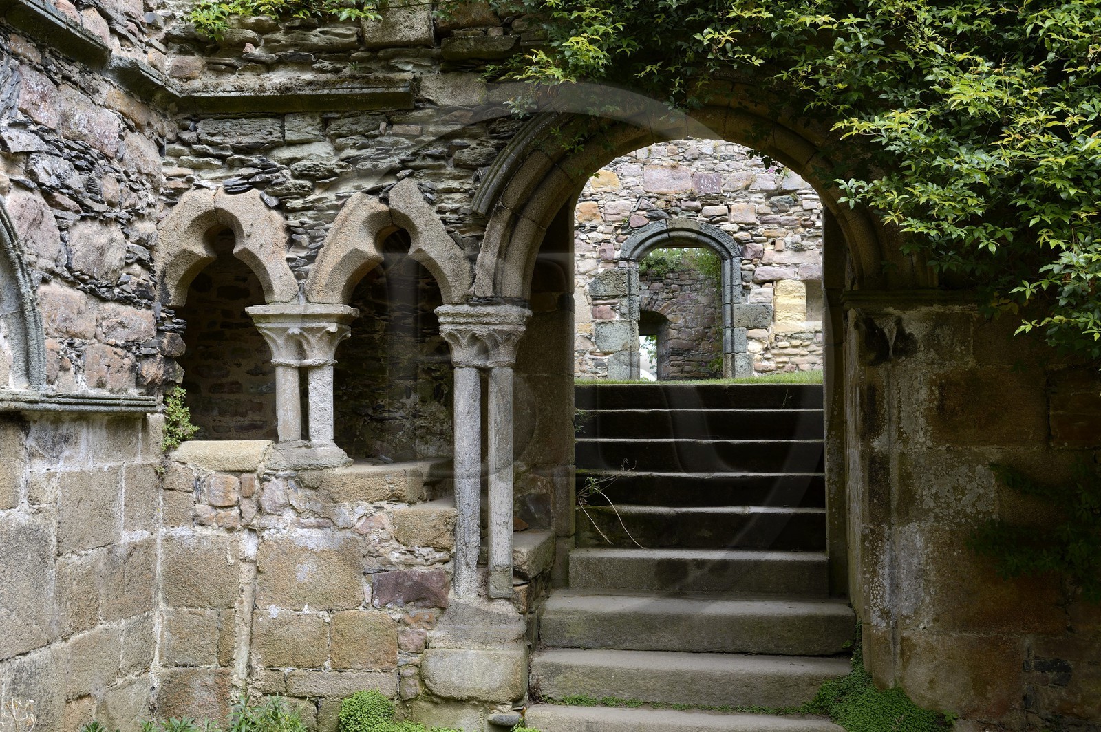 France, Côtes-d'Armor (22), étape sur le chemin de Saint-Jacques de Compostelle, Paimpol, abbaye de Beauport du XIIIe siècle, le cloitre