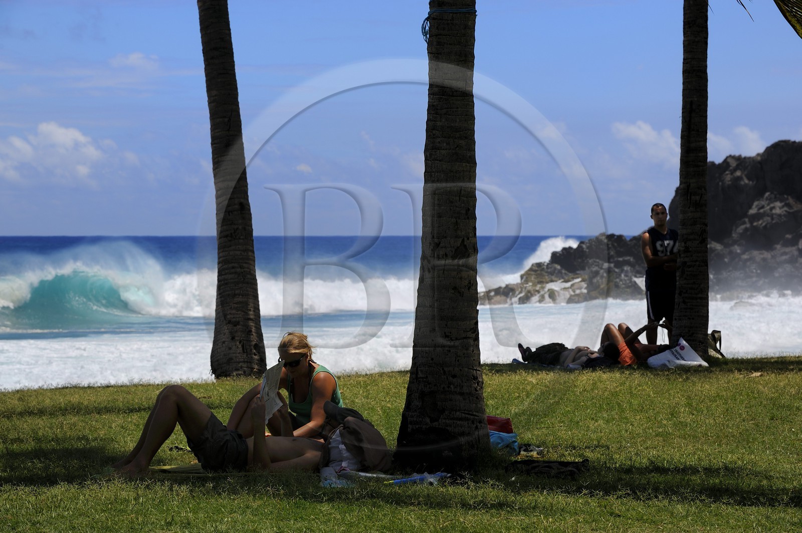 France, île de la Réunion, la côte sud, plage de Grand-Anse