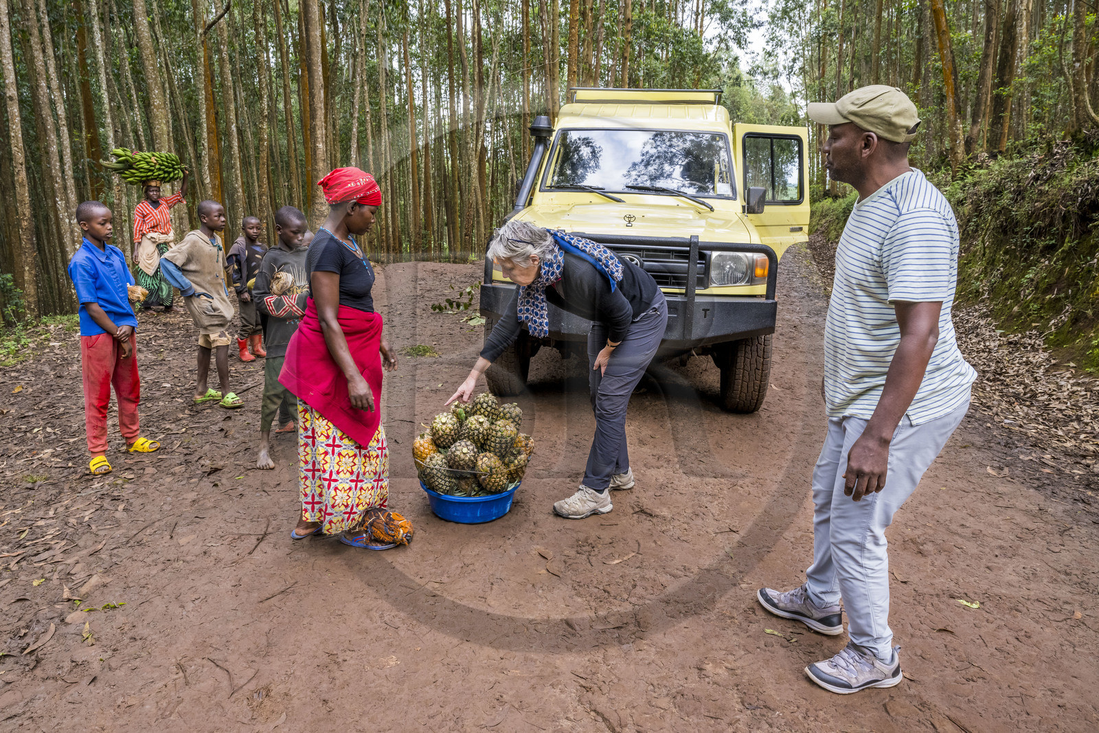 Rwanda, Province de l’Ouest, Gisuma, paysanne partant au marché proposant ses ananas à une touriste sur la piste