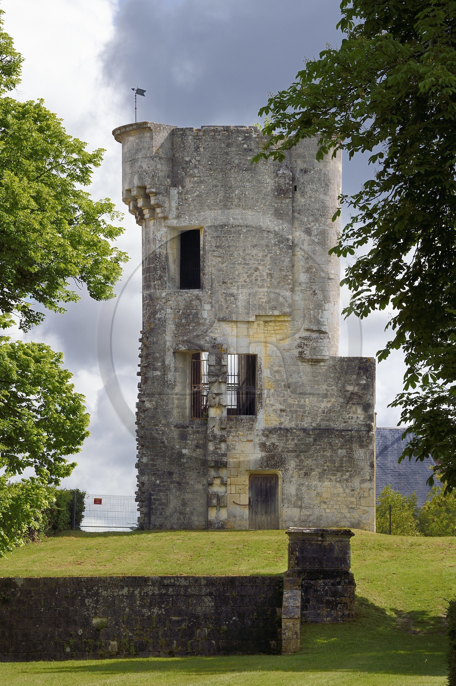 France, Charente-Maritime (17), Saintonge, Taillebourg, la tour du chateau